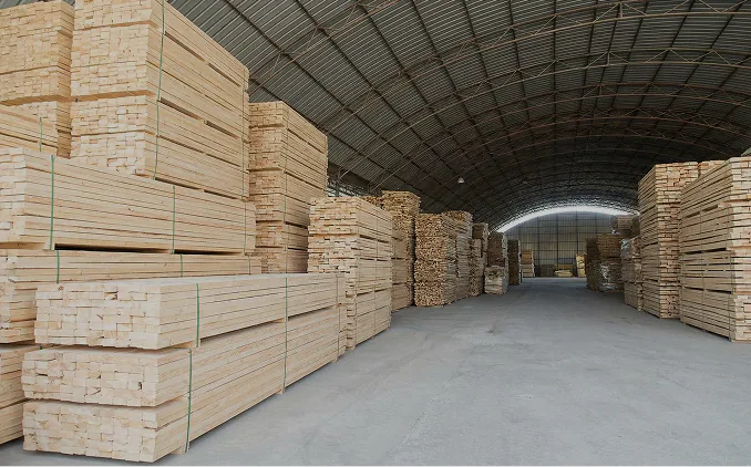 Timfeng factory campus